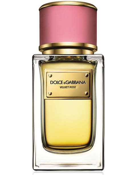 dolce gabbana profumo donna|Profumi Dolce&Gabbana® da donna .